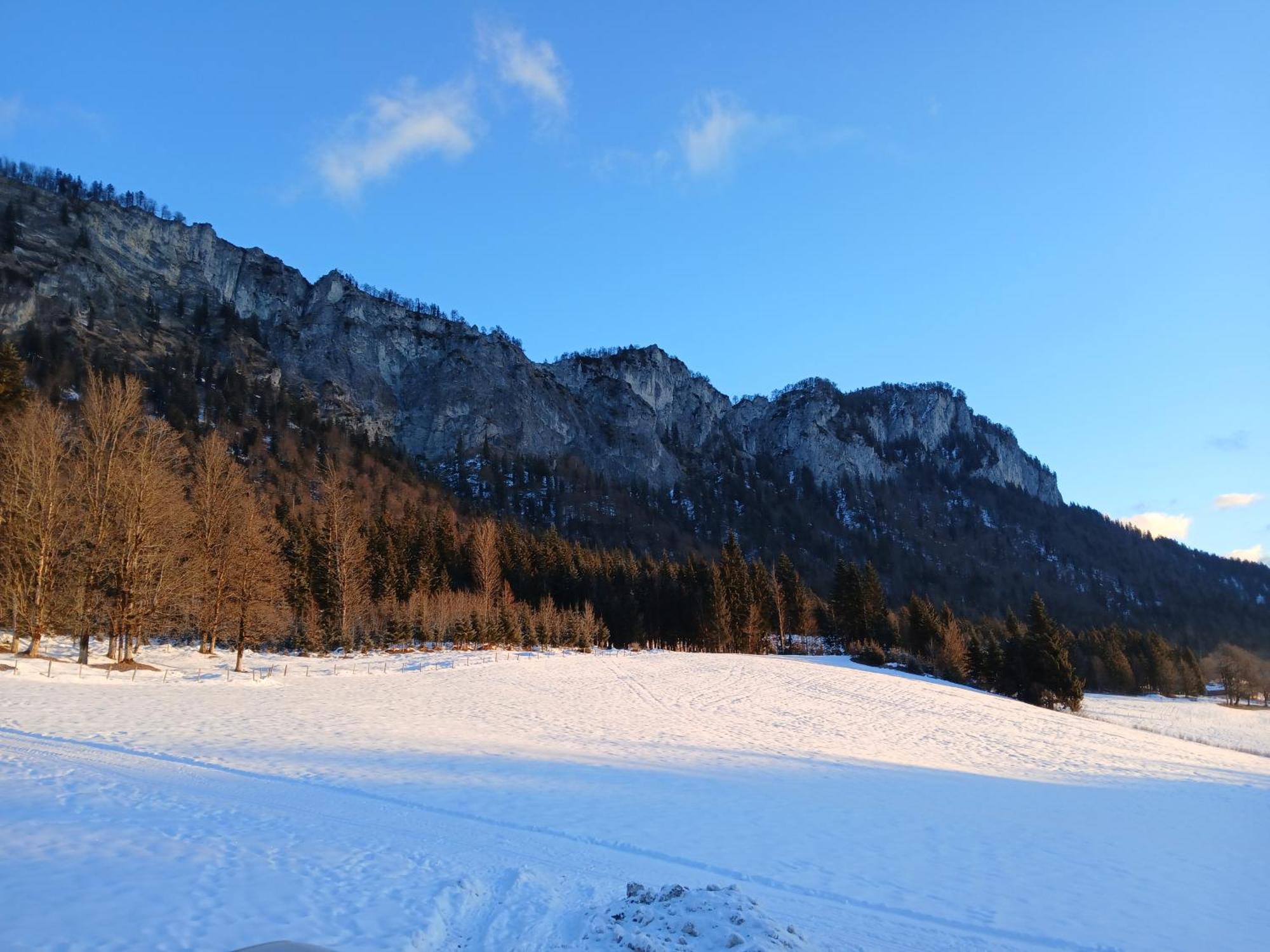 Ferienwohnung Maurerhof Sankt Johann in Tirol Buitenkant foto