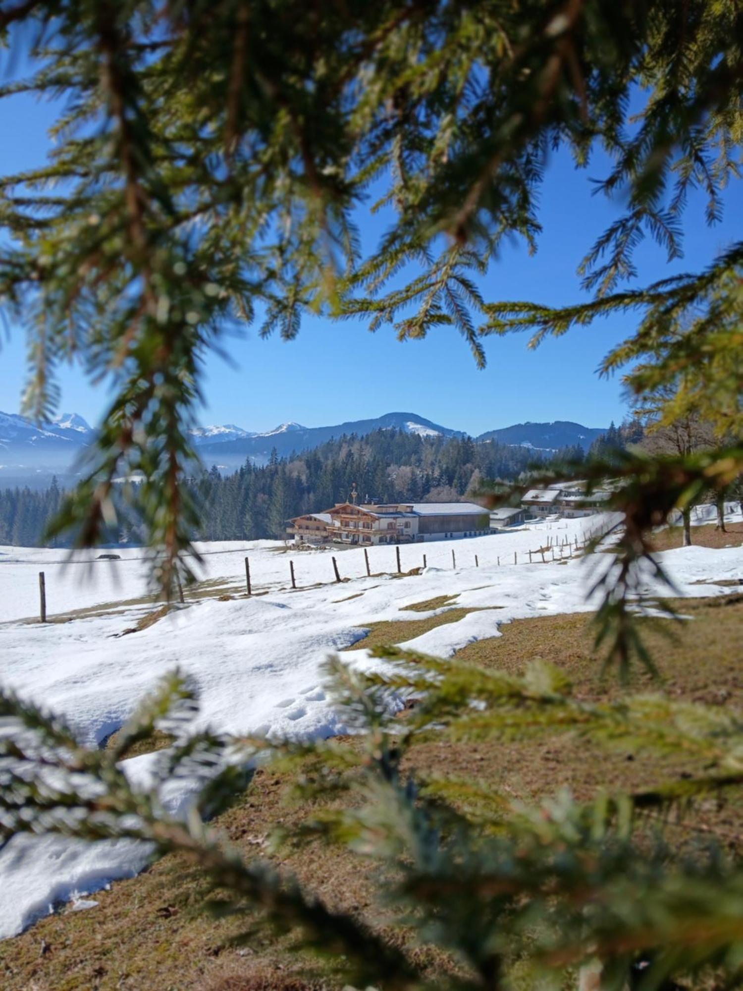 Ferienwohnung Maurerhof Sankt Johann in Tirol Buitenkant foto