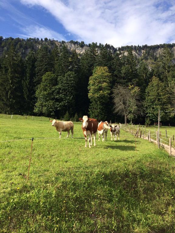 Ferienwohnung Maurerhof Sankt Johann in Tirol Buitenkant foto