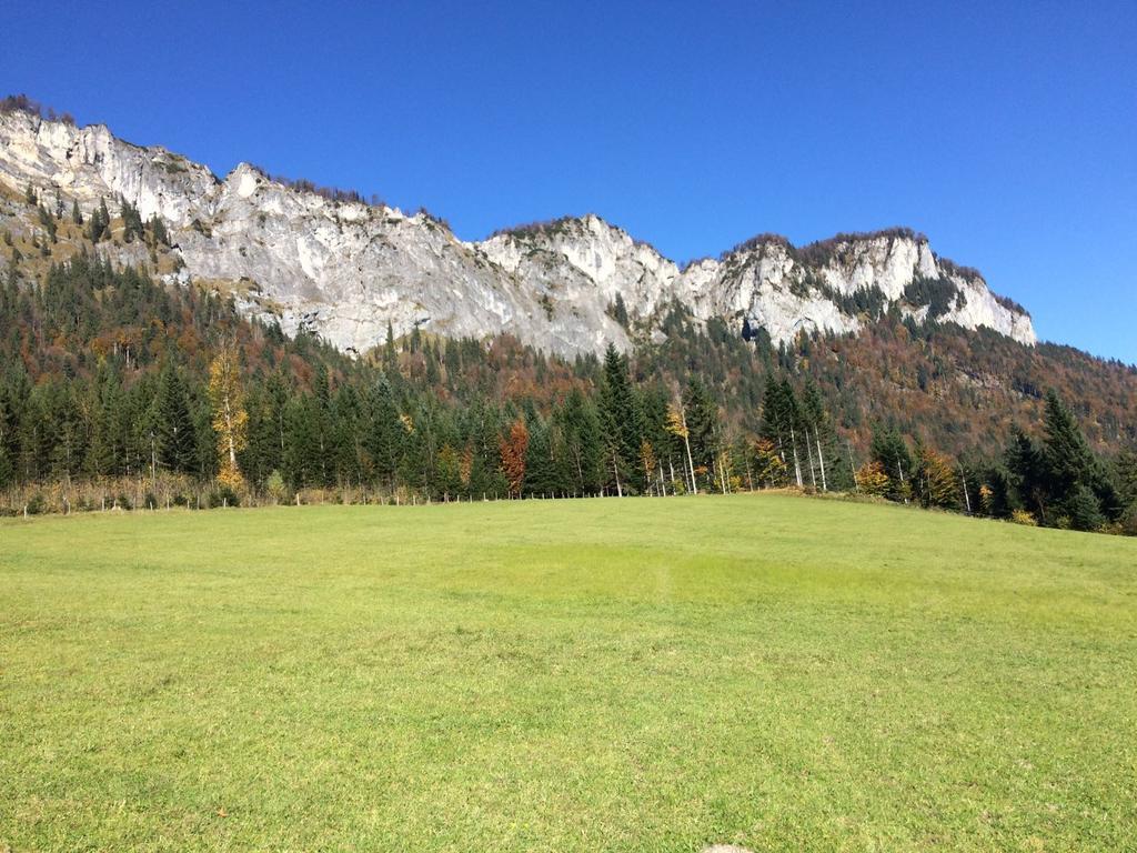 Ferienwohnung Maurerhof Sankt Johann in Tirol Buitenkant foto