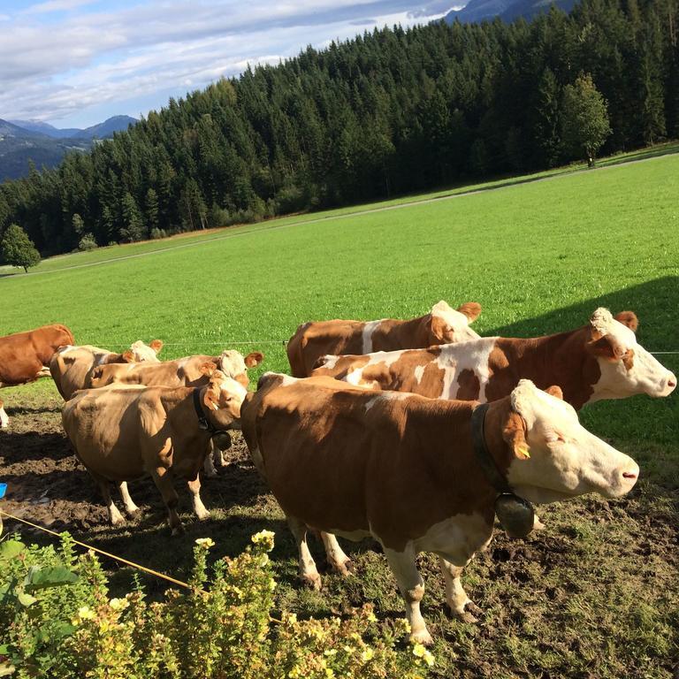 Ferienwohnung Maurerhof Sankt Johann in Tirol Buitenkant foto